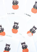 Pumpkin Cat