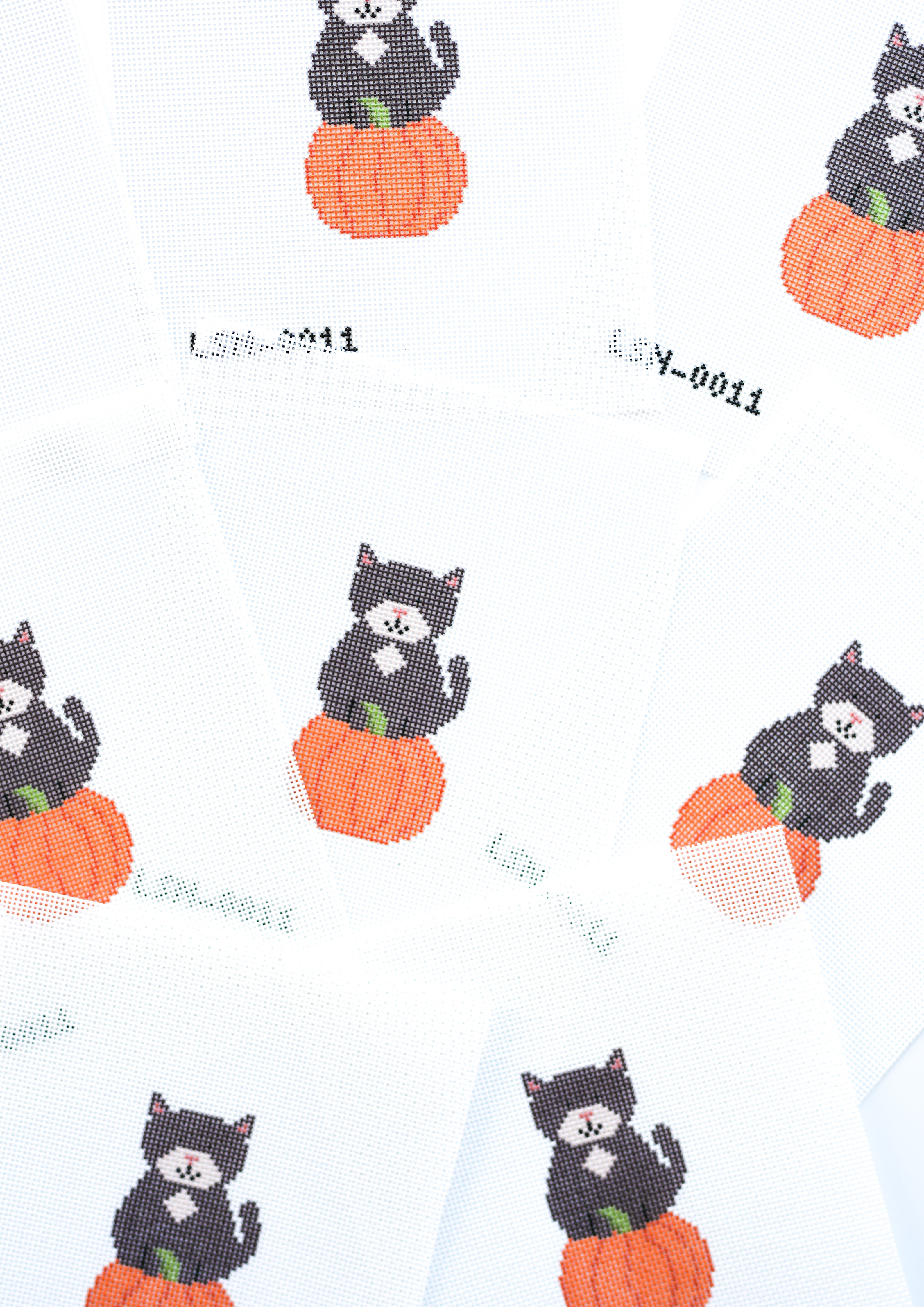 Pumpkin Cat