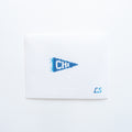 Wholesale Mini City Pennant Flag
